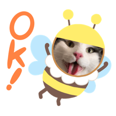 Nagisa_20200426152910