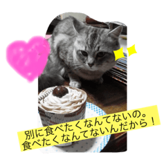 mizuki_20200426180832