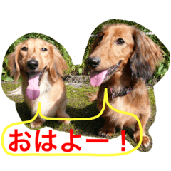 ASUKA_Lucky and Love