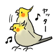 Usable cockatiel daily stickers