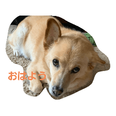 hana_20200426234904