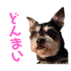 KEN_20200427010027