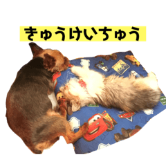 hanahana1-1