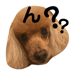 sayuri_20200427062430