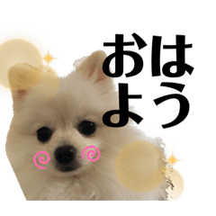 macaron_20200427113923