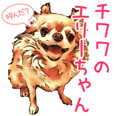 Ellie-chan from Chihuahua