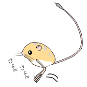 small mouse