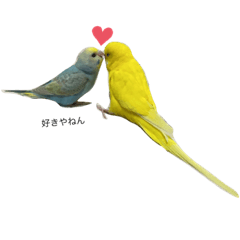 Nozomi_20200427130352