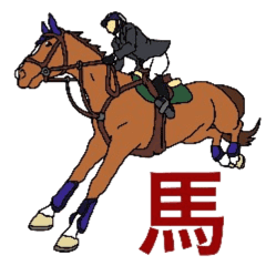 馬好きスタンプ 乗馬編 第3弾 Line スタンプ Line Store 馬好きスタンプ 乗馬編 第3弾 Line スタンプ Line Store
