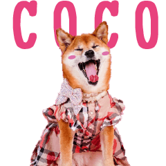 COCO'S Cutest sticker