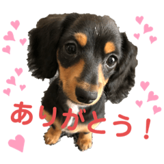 NATSUMI_20200427134858