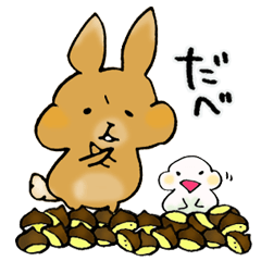 Maron Tochigi rabbit 002