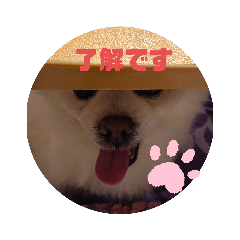 TONTON_20200427161105