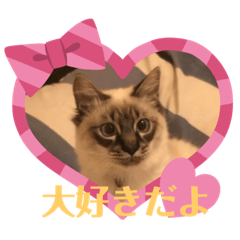 OMOCHI_20200427165310