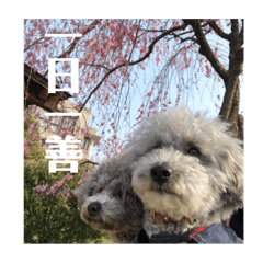 Nanami_20200427171513