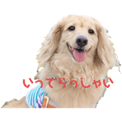 monaka_20200427124639