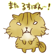 Kenta of chinchillacat!