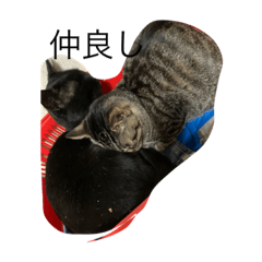 nozomi_20200427191457