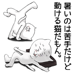 暑いのは苦手だけど、動ける猫だもん。