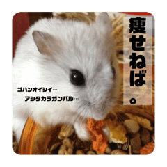 rina_20200427202216