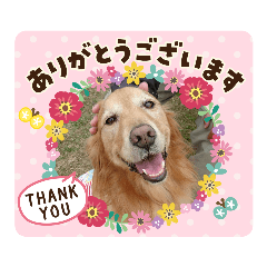 hana_20200427142648