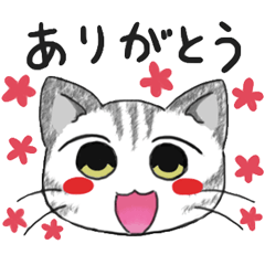 cheerful american shorthair cat sticker