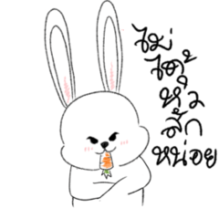 tsundere rabbit carrot