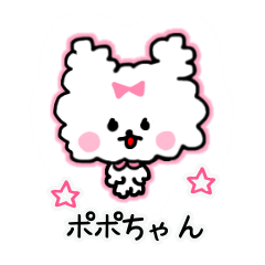 Fluffy dog. Popo-chan.