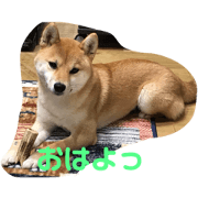 suemusume