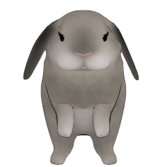 うさぎのおたまさん Line スタンプ Line Store