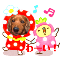 ミニチュアダックス Lineクリエイターズスタンプまとめ Stamplist ミニチュアダックス Lineクリエイターズスタンプまとめ Stamplist