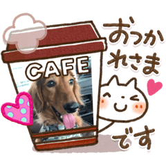 cocoa_20200427231548