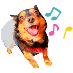 Smile_20200427235954