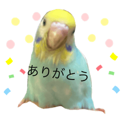 Nozomi_20200428001949