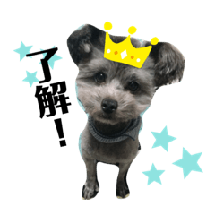 nozomi_20200427234050