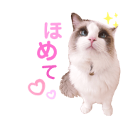 hotaten_sticker2