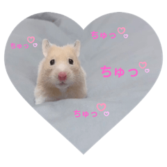 richan.st_20200428013536