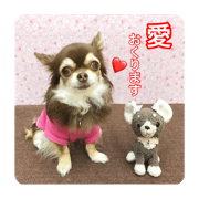 teruchiyo_20200428100237