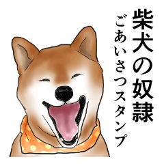 柴犬の奴隷　ごあいさつスタンプ