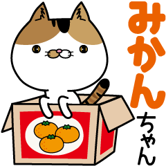 Calico cat Mikan-chan