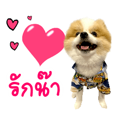 AungAung THe Dog ver.2