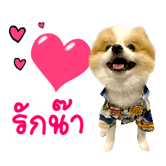 AungAung THe Dog ver.2