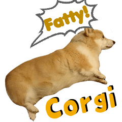 Fluffy the Corgi lowrider