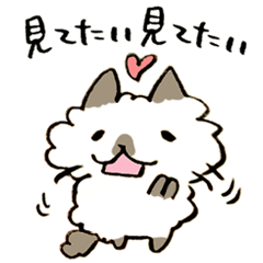 Kanazawa,Ishikawa cat Giuliano 005