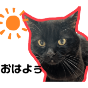 Black cat chucky stamp
