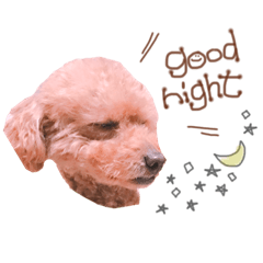 anna.._20200428154335