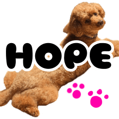 Kawaii Hope Sticker