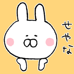 Mr. rabbit of Kobe valve