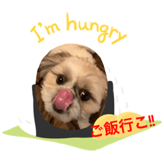 sherry_20200428165641