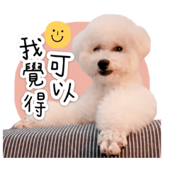 元寶寶（融化你第一彈）